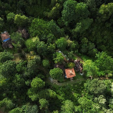 Mahout Resort Wayanad - An Experiential Jungle Stay With Waterfall Kalpatta Ngoại thất bức ảnh