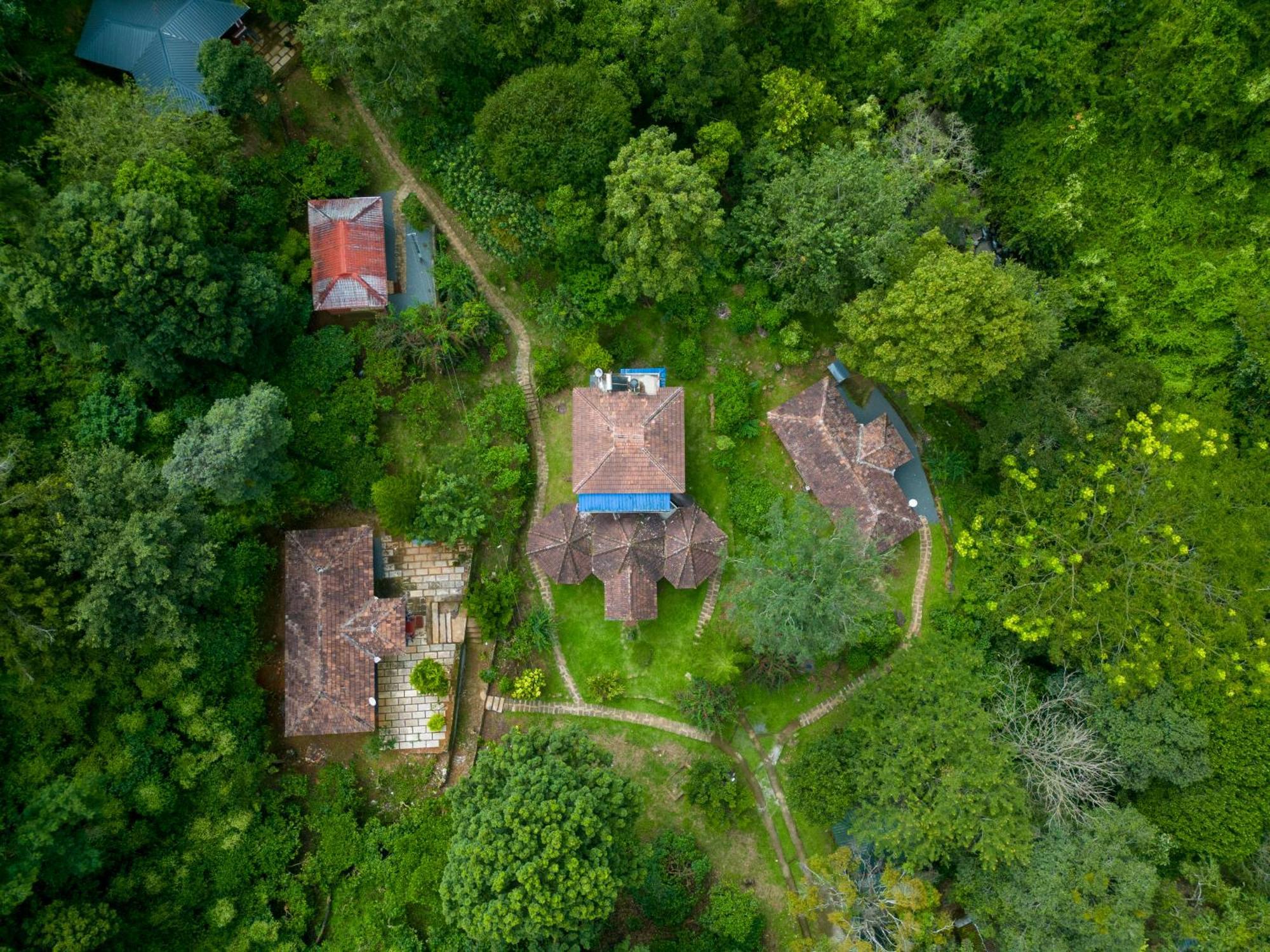 Mahout Resort Wayanad - An Experiential Jungle Stay With Waterfall Kalpatta Ngoại thất bức ảnh
