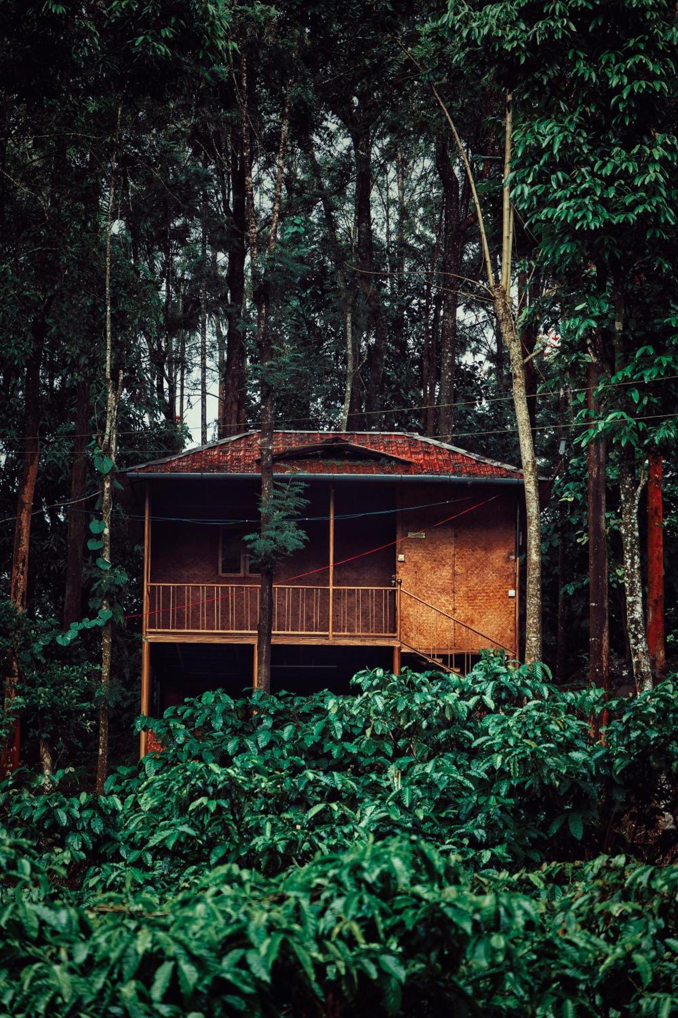 Mahout Resort Wayanad - An Experiential Jungle Stay With Waterfall Kalpatta Ngoại thất bức ảnh