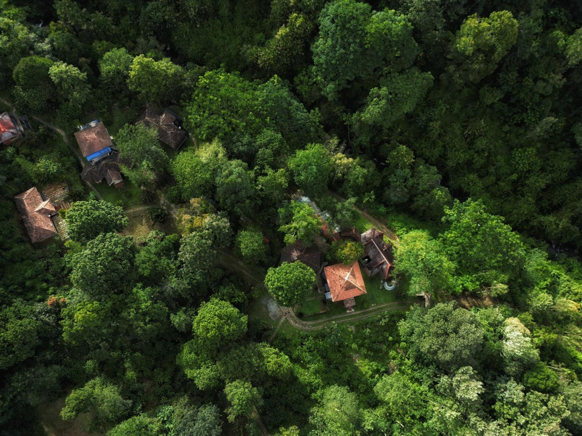 Mahout Resort Wayanad - An Experiential Jungle Stay With Waterfall Kalpatta Ngoại thất bức ảnh
