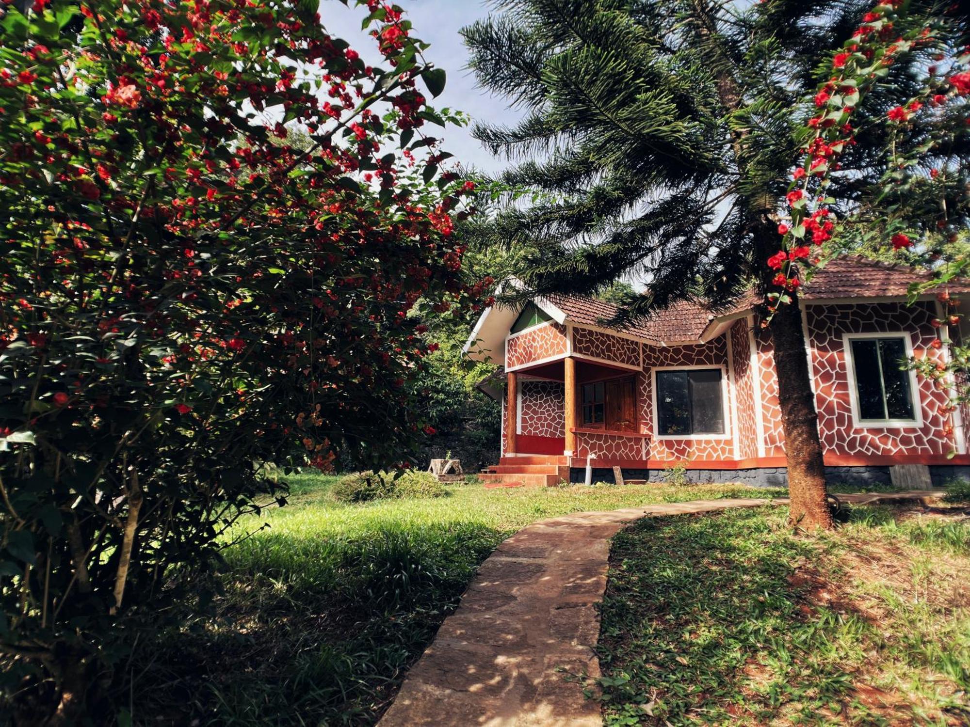 Mahout Resort Wayanad - An Experiential Jungle Stay With Waterfall Kalpatta Ngoại thất bức ảnh