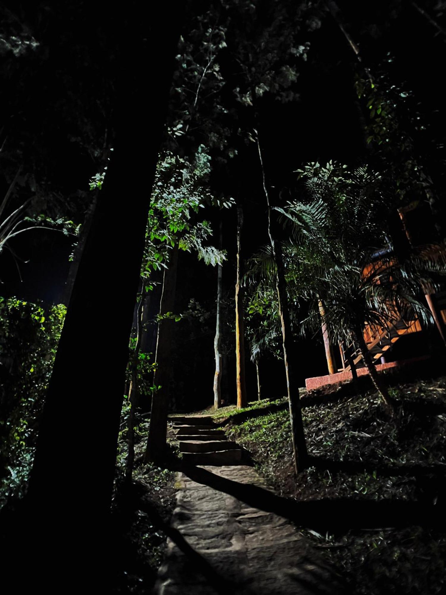 Mahout Resort Wayanad - An Experiential Jungle Stay With Waterfall Kalpatta Ngoại thất bức ảnh