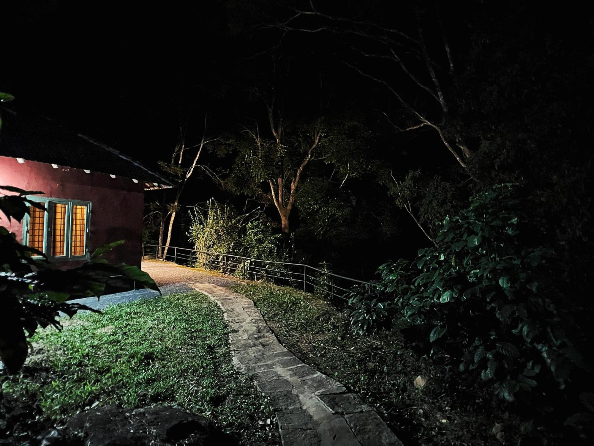 Mahout Resort Wayanad - An Experiential Jungle Stay With Waterfall Kalpatta Ngoại thất bức ảnh