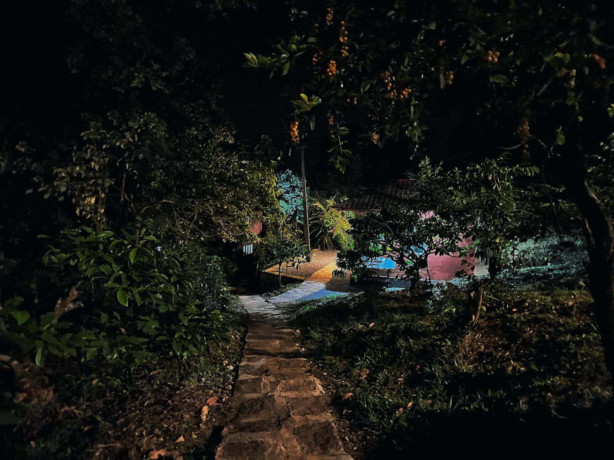 Mahout Resort Wayanad - An Experiential Jungle Stay With Waterfall Kalpatta Ngoại thất bức ảnh